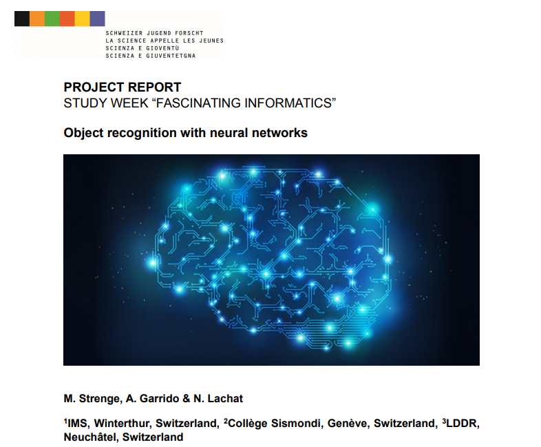 Screenshot of the Project Report